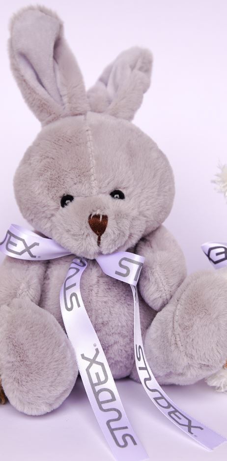 Studex® Premium Grey Bunny Rabbit