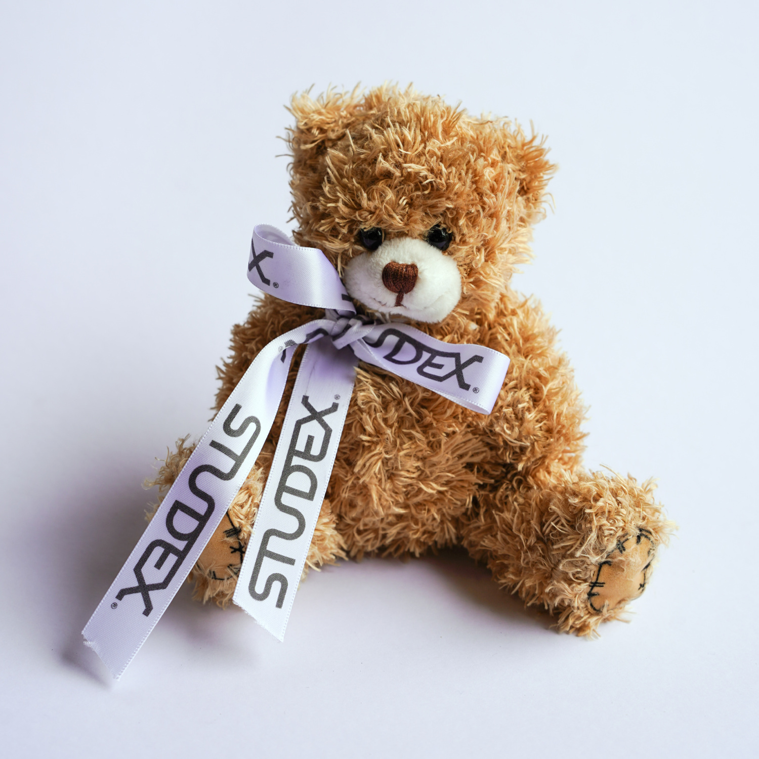 Studex® Teddy Bear